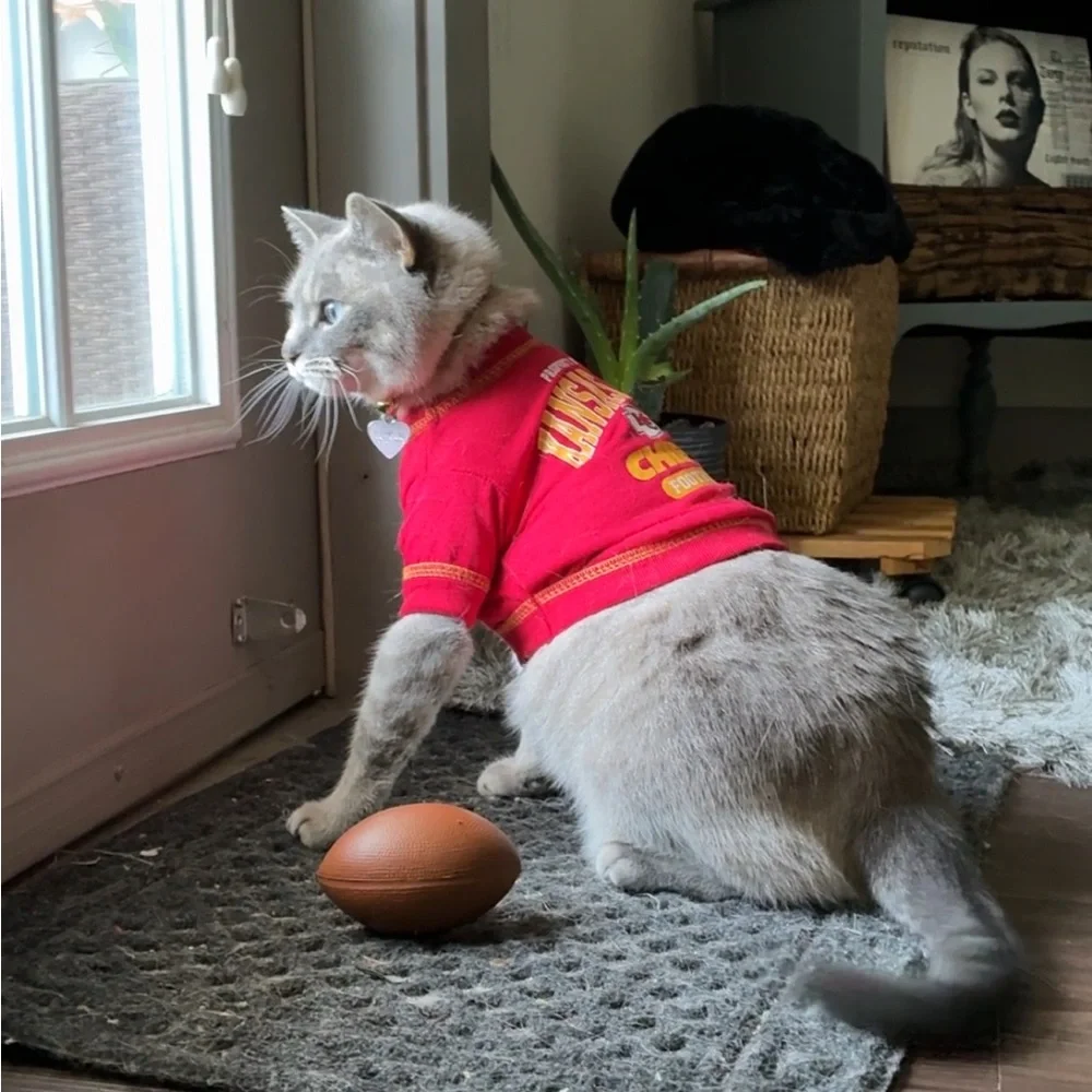 NWT Kansas City Chiefs NFL XS Cat or dog t-shirt #swiftie #chiefs cat clothes